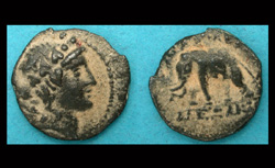 Seleucid, Alexander I, Balas, Elephant reverse!